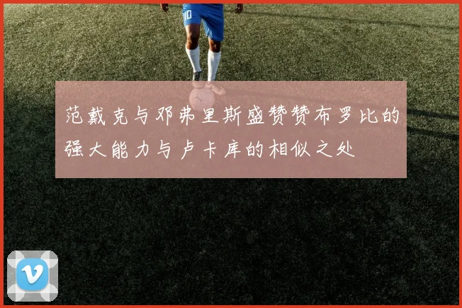 范戴克与邓弗里斯盛赞赞布罗比的强大能力与卢卡库的相似之处